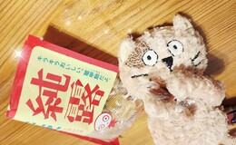 記事を見る