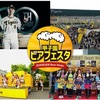 阪神甲子園球場｜2024年6月21日〜23日対横浜DeNA戦で「ビアフェスタ」が開催されます