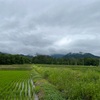 2022/06/14 火曜日　坐骨神経痛