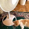 現在華氏110°で溶けそう・・・