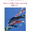 ありがとうございます｡MKママと田舎親爺の気まぐれ日記､ブログ開設３年目｡MKママが選んだ思い出の写真続編です｡