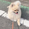 今日もかわいこちゃん