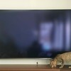 壁掛けテレビ