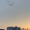 静かなる空虚感