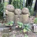 bulesky-sunflower’s blog