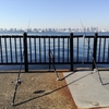 若洲海浜公園で釣りをしてきた