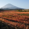 2016・年始のごあいさつ