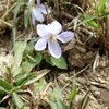 私を生かした聖句（11）ガラテヤ６章15～16節