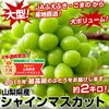 グルメ大賞受賞！ 山梨県産　シャインマスカット約2キロ（3房〜4房）3,580円を購入するなら！口コミをまとめました。