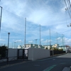 (巻四十三) サトイモ科あやめ科菖蒲混乱す(矢島三栄子)
