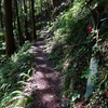 11番藤井寺から12番焼山寺へ⑤秡川から焼山寺