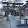 埼玉古墳群へ行ってきたって話：前玉神社編