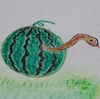 西瓜から蛇？(a snake from a watermelon?)