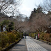 石山寺の春その２