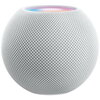 Apple｢HomePod mini｣で温度・湿度センサーが利用可能になりますよ！