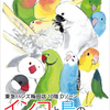 9/1〜東急ハンズ梅田店「インコと鳥の雑貨展」