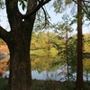 今年も、狭山公園の紅葉はきれいじゃの