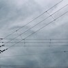 空と同じで、もやもやが募る。