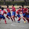 千代田ﾗｲｶﾞｰ ｼﾞｭﾆｱｻｯｶｰ大会（6年生）