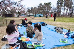 高田城址公園観桜会が開幕　露店200店、イベントも復活　桜はまだつぼみ