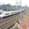 特急電車と河津桜のコラボレーション