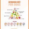 The Ketogenic Diet - Ultimate a Diet