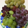 ぶどう🍇が美味しい季節です。