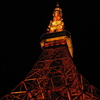 【アラ還さんぽ】東京はこんなに美しいのに。