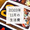 2023年11月の生活費と貯金額と大阪行った話