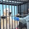 名物飼育員さん　大場さんのトーク最高