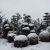 雪