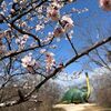 珍スポ感の薄い解像力の高さ【水戸市森林公園恐竜広場】がすごい！｜茨城珍スポ巡り｜＠2025