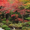 泉涌寺 御座所庭園