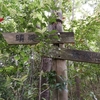 陶器山 あまの街道から天野山