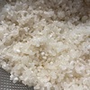 無農薬で米づくり。米粒に交ざる黒い粒。