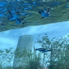 サンシャイン水族館