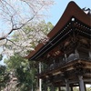 多摩川桜百景　－83. 海禅寺－ 