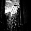 正月 日本橋～難波を独りで　モノクロ編