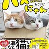 猫たちのすてきな一瞬を記録した『バズにゃん』登場　いますぐ猫と暮らしたくなる！