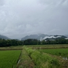 2025/06/23 月曜日　梅雨前線