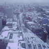 ごった煮日記＜札幌雪まつり＞