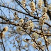 中休み。京都にて