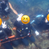 恒例旅行で体験ダイビング ＆2回目！高尾山登山と温泉アフター
