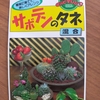 サボテンの種を買いました。