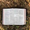 What is "Kotodama"? A thorough explanation of the power of words to change your daily life and how to use them