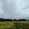 2022/09/03土曜日　台風11号ヒンナムノー