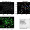 【CellProfiler】薬理活性化合物を処理した細胞染色画像から特徴量を抽出する②