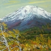 富士山（奥庭）2008　P10