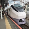 さんふらわあ下船後の旅｜大洗から東京駅まで特急ときわとあんこう三味弁当