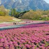 【秩父2】夏の陽気の長瀞を満喫